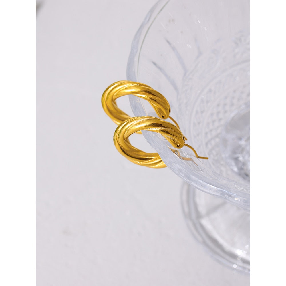 Curve Earrings