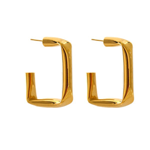 Buray Earrings