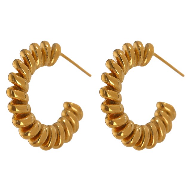 Zined Earrings