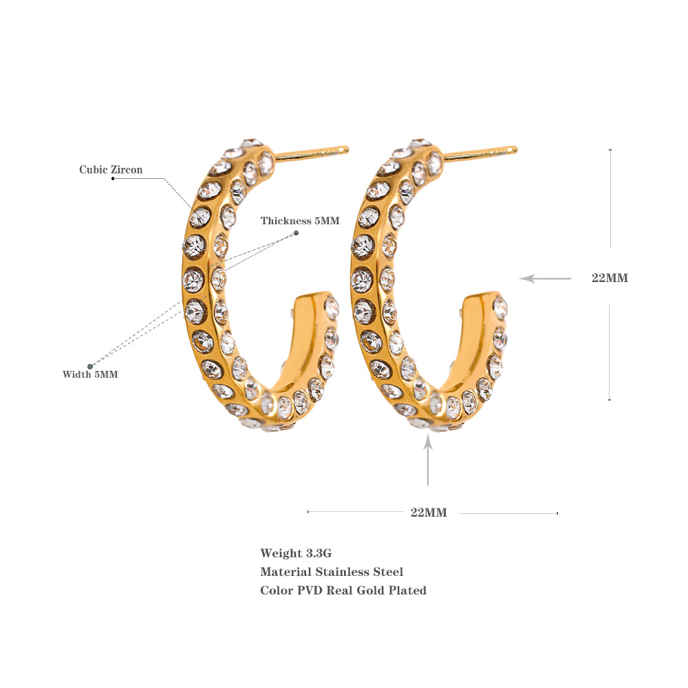 Roudi Earrings