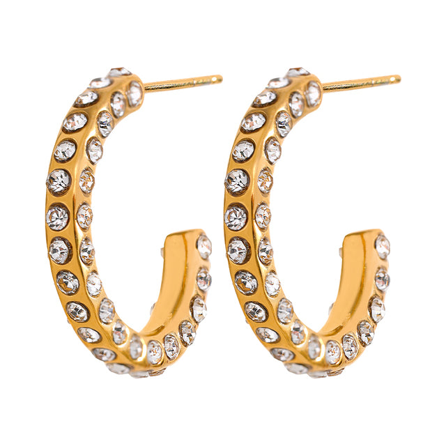 Roudi Earrings